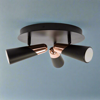 Black and Copper 3 Light Spotlight - CLEARANCE