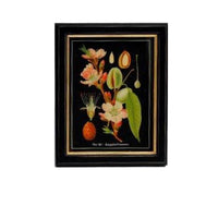 Shop small almond flower print, 20x25cm. Perfect wall decor addition with classic frame. Elevate interiors with this stylish art piece.