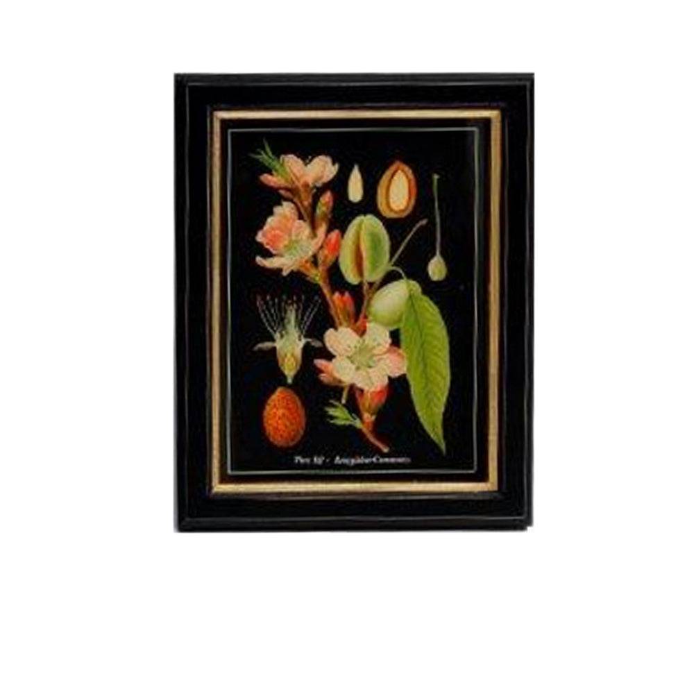 Shop small almond flower print, 20x25cm. Perfect wall decor addition with classic frame. Elevate interiors with this stylish art piece.