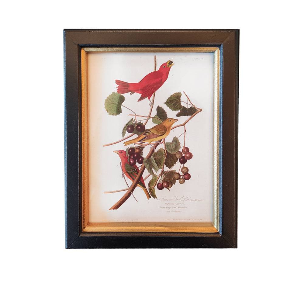 small birds wall print, 20x25cm. Perfect wall decor addition with classic frame. Elevate interiors with this stylish art piece.