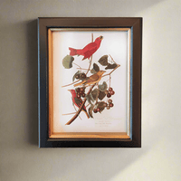 small birds wall print, 20x25cm. Perfect wall decor addition with classic frame. Elevate interiors with this stylish art piece.