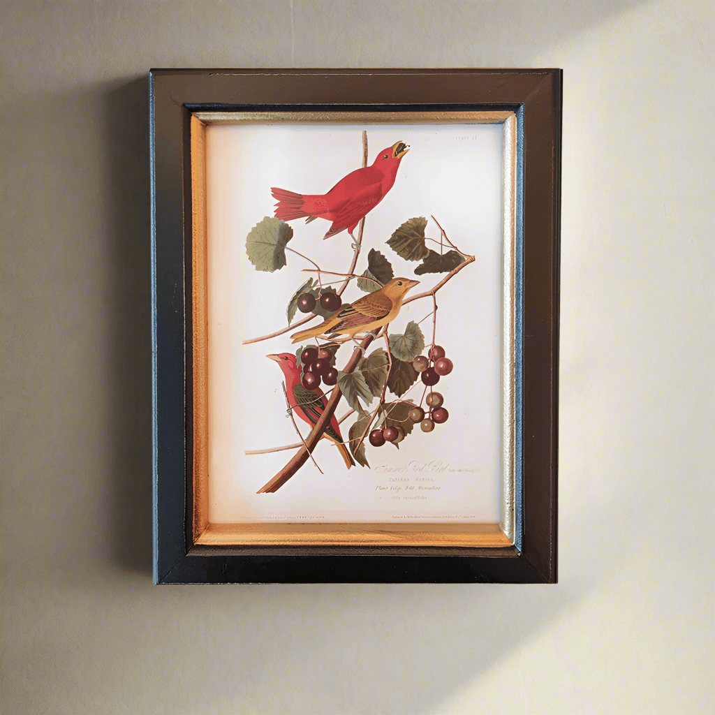 small birds wall print, 20x25cm. Perfect wall decor addition with classic frame. Elevate interiors with this stylish art piece.