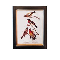 Shop small birds wall print, 20x25cm. Perfect wall decor addition with classic frame. Elevate interiors with this stylish art piece.