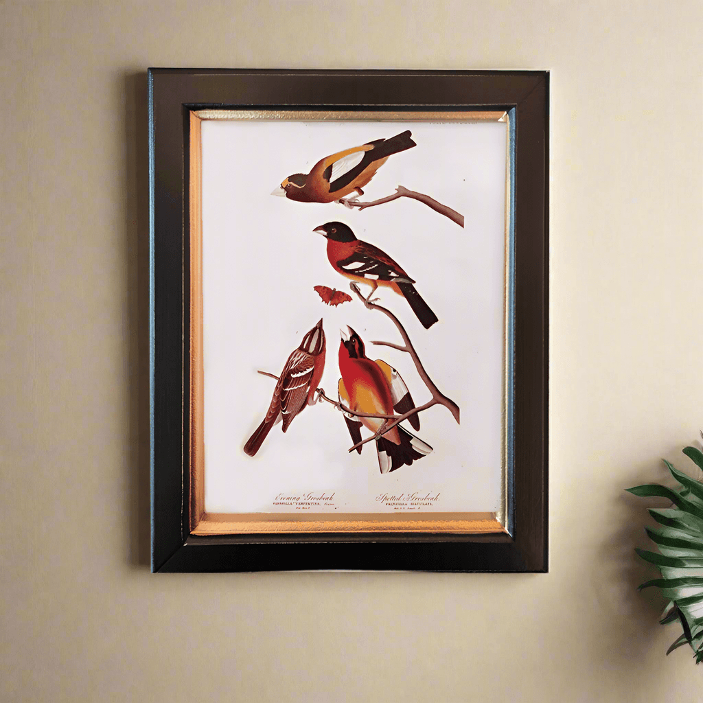 Shop small birds wall print, 20x25cm. Perfect wall decor addition with classic frame. Elevate interiors with this stylish art piece.