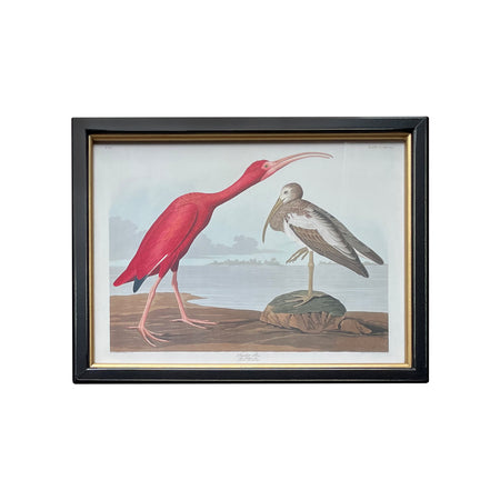 Flamingo Print - 110 cm