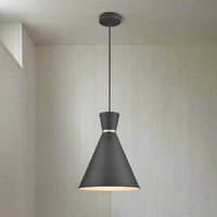 Black metal conical pendant with white inner, great kitchen and kitchen island pendant. Tall and conical the light will spread from the wider base of the pendant.