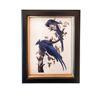 Shop small blue birds wall print, 20x25cm. Perfect wall decor addition with classic frame. Elevate interiors with this stylish art piece.