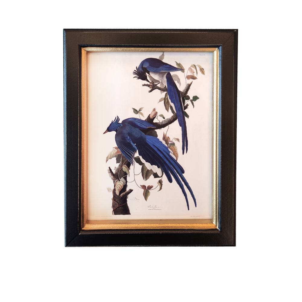Shop small blue birds wall print, 20x25cm. Perfect wall decor addition with classic frame. Elevate interiors with this stylish art piece.