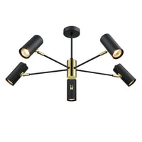Decorative Black 5 Light Spotlight
