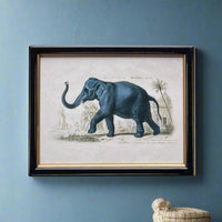 A set of three wall prints consisting of a two different palm trees images and a pineapple in a combination of portrait and landscape mode. The three prints are in a classic black and gilt frame. Combine these prints to give a retro decor to your wall, on a staircase, sitting room or dining room. The subject of these prints would suit any decor, whethe classic country house or period town home. The vintage prints are framed perfectly in a black wooden frame.