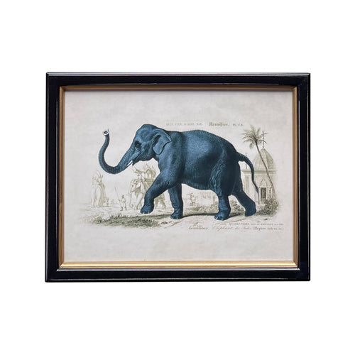 Vintage Elephant Print 38 x 29 cm