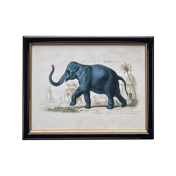 Elephant Print I Black Gilt Rectangular Frame IWall Art Decor