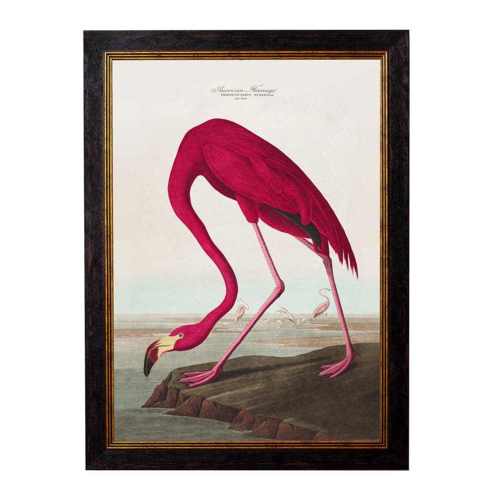 This is a large framed print of John James Audubon's "American Flamingo", from his famous series The Birds of America. The flamingo is painted in vivid shades of crimson and pink with subtle feather details. The print is surrounded by a dark wooden frame with a thin inner gold trim, enhancing the vintage and classic look.