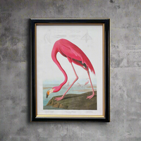 Pink flamingo print in a classic black and gilt frame, a medium size of this print will make an impact on any wall. Combine it with other prints to elevate your wall decor.
