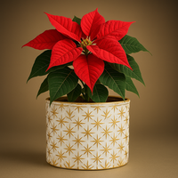 Medium Festive White & Gold Metal Container