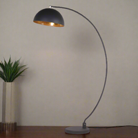 Black Arc Floor Lamp