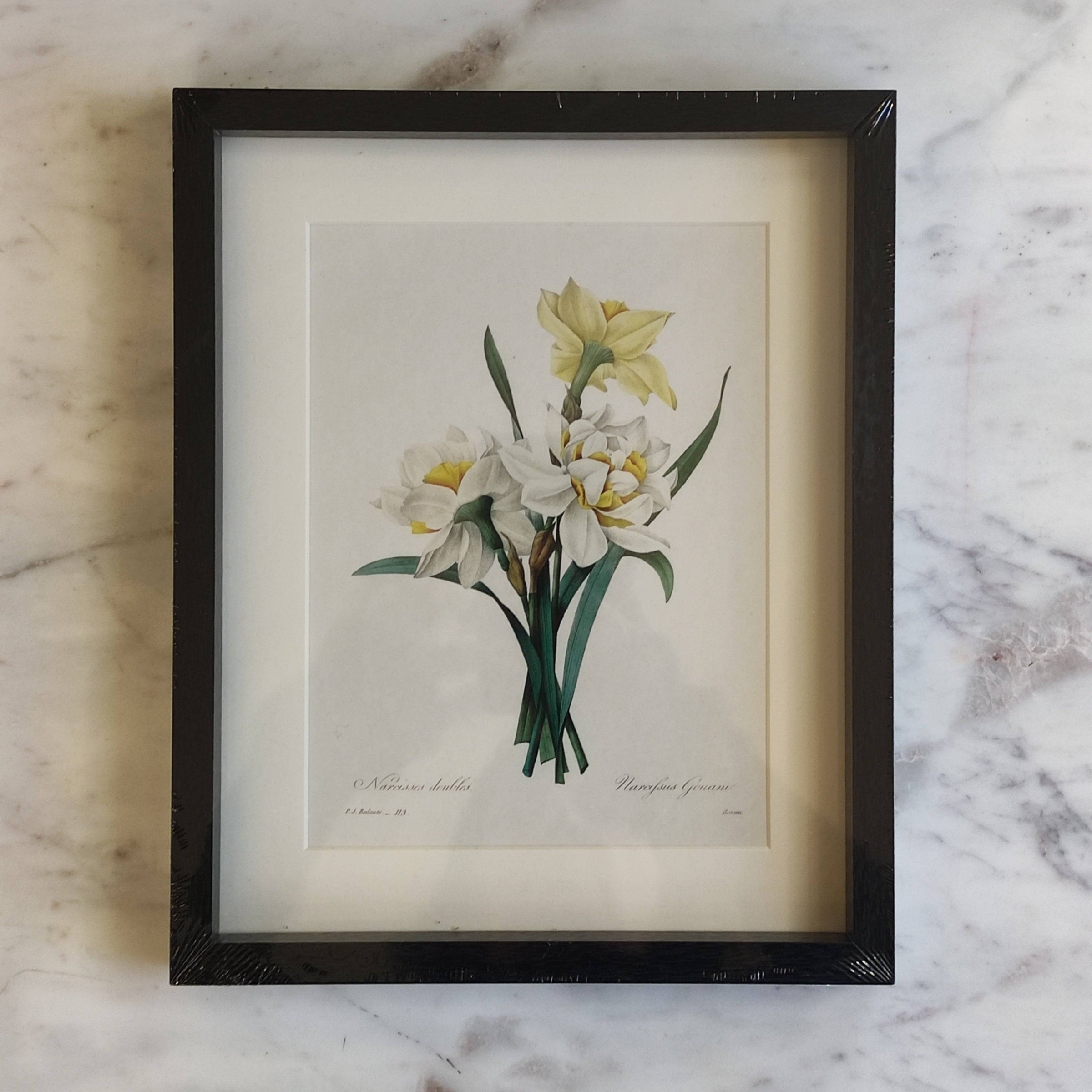 Shop small daffodil flowers wall print, 20x25cm. Perfect wall decor addition with classic frame. Elevate interiors with this stylish art piece.
