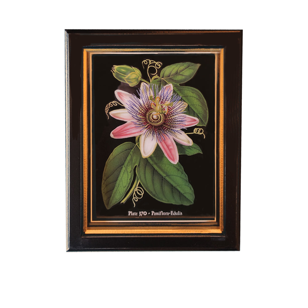 Passion Fruit Flower Print 25 cm x 20 cm