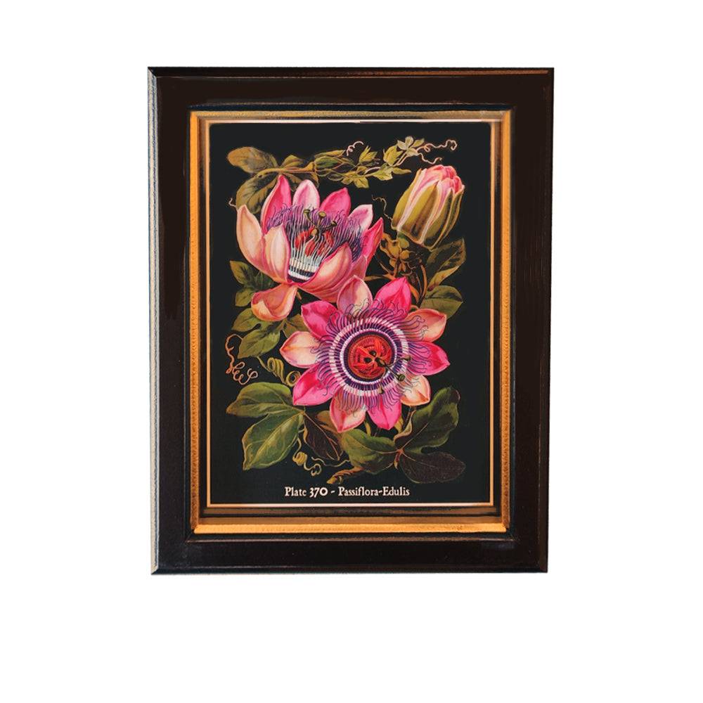 Shop small passion fruit flowers wall print, 20x25cm. Perfect wall decor addition with classic frame. Elevate interiors with this stylish art piece.