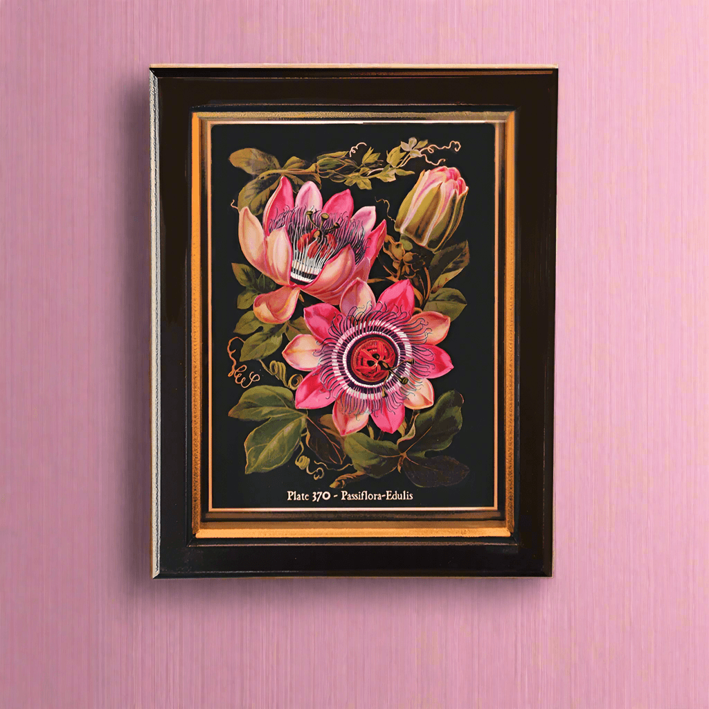 Shop small passion fruit flowers wall print, 20x25cm. Perfect wall decor addition with classic frame. Elevate interiors with this stylish art piece.