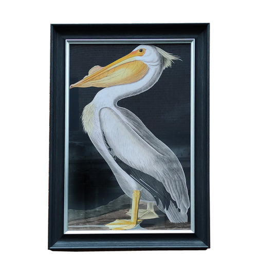 Pelican Print - 110 cm
