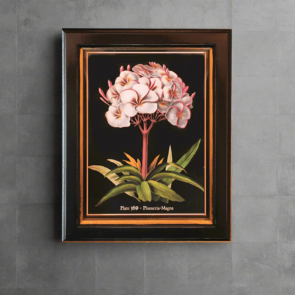 Shop small plumeria flower wall print, 20x25cm. Perfect wall decor addition with classic frame. Elevate interiors with this stylish art piece.