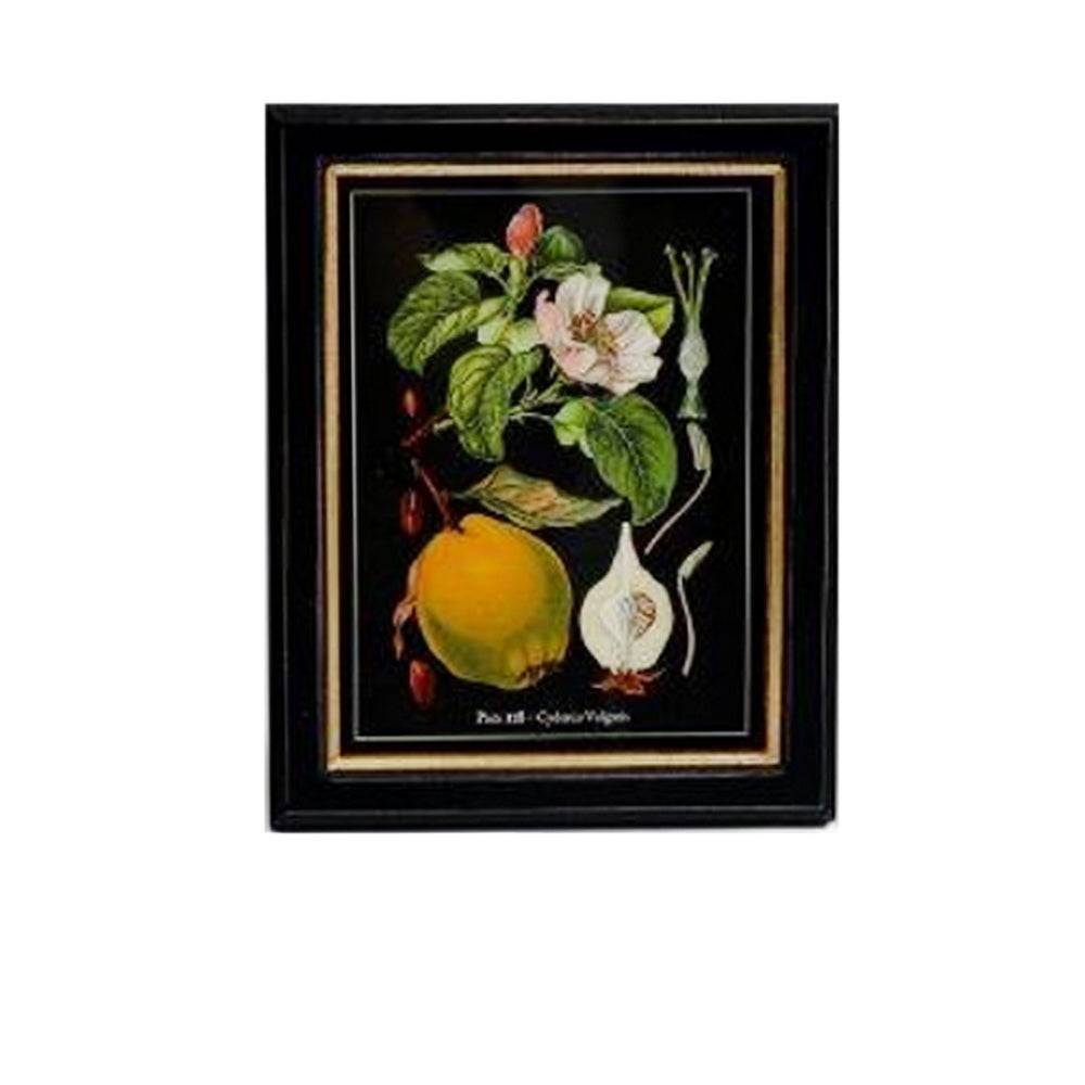 Shop small quince fruit and flower print, 20x25cm. Perfect wall decor addition with classic frame. Elevate interiors with this stylish art piece.