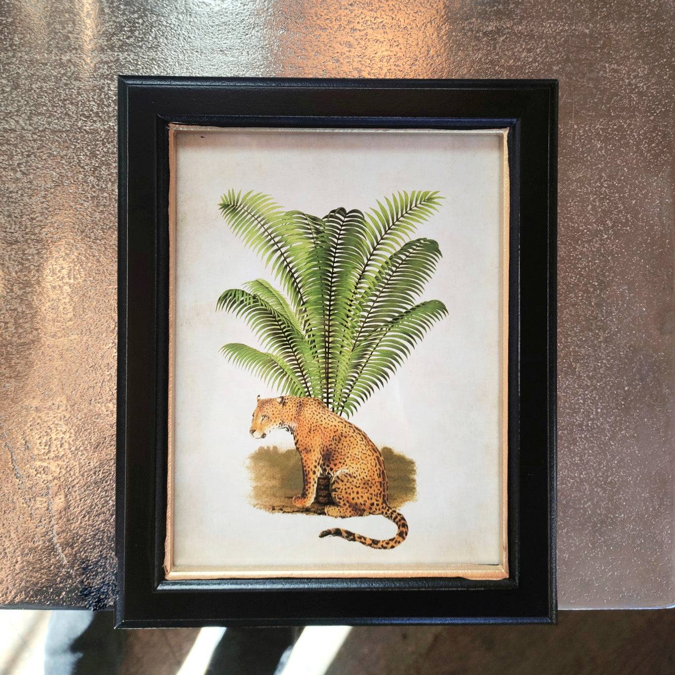 Leopard print in a classic black and gilt frame, a small size of this print will make an impact on any wall. Combine it with other prints to elevate your wall decor