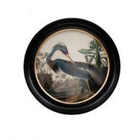 Blue heron wall print in a classic black and gilt frame, a medium size of this print will make an impact on any wall. The style is reminiscent of 19th-century ornithological illustrations