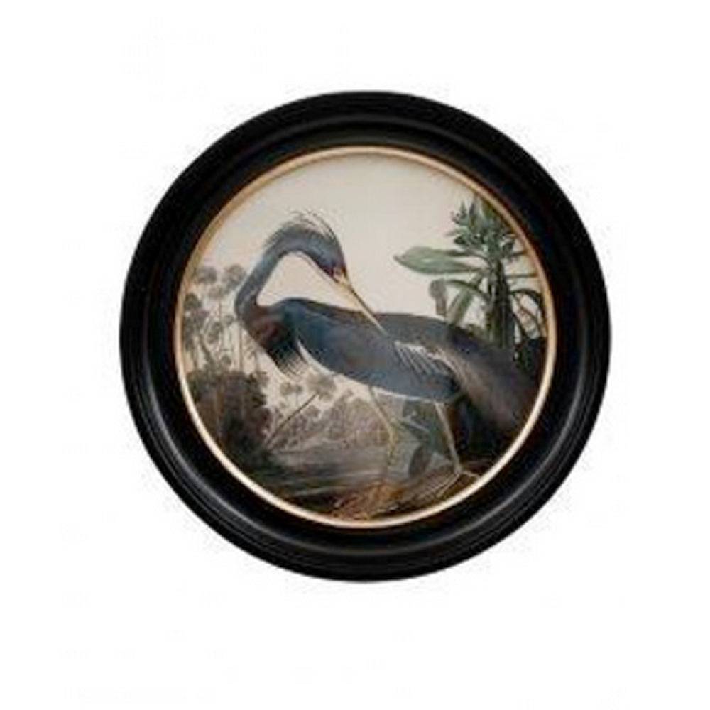 Blue heron wall print in a classic black and gilt frame, a medium size of this print will make an impact on any wall. The style is reminiscent of 19th-century ornithological illustrations