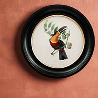 Round small toucan wall print in a classic black and gilt frame, this print will make an impact on any wall. The style is reminiscent of ornithological illustrations with its vibrant colours.