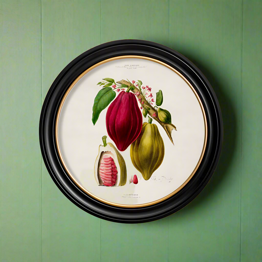 A very pretty Chocolate Plant print in a black frame with gold gilt inner rim.  This is a decorative copy of a 19th century print evoking vintage vibes that are perfect to dress a void city or country wall space. 