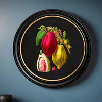 Brightly coloured Chocolate Plant print on a dark background.  Set in a round black frame with a gilt inner rim, this is a classic copy of a 19th century original. Perfect for a wall in a London house or in a country setting.