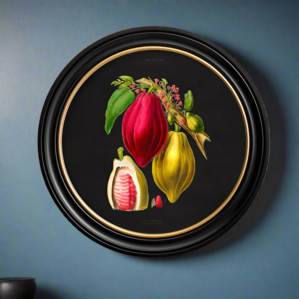 Brightly coloured Chocolate Plant print on a dark background.  Set in a round black frame with a gilt inner rim, this is a classic copy of a 19th century original. Perfect for a wall in a London house or in a country setting.