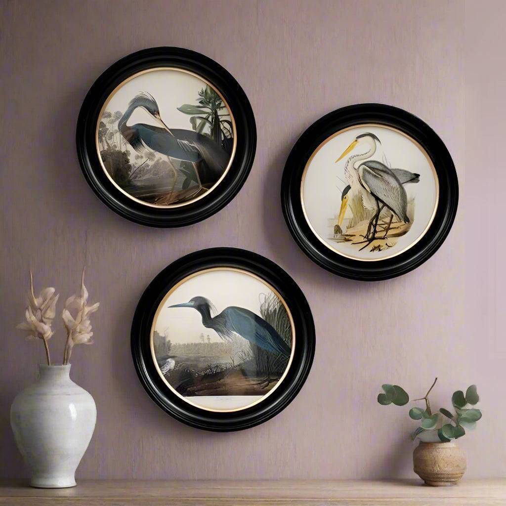 Blue heron wall print in a classic black and gilt frame, a medium size of this print will make an impact on any wall. The style is reminiscent of 19th-century ornithological illustrations
