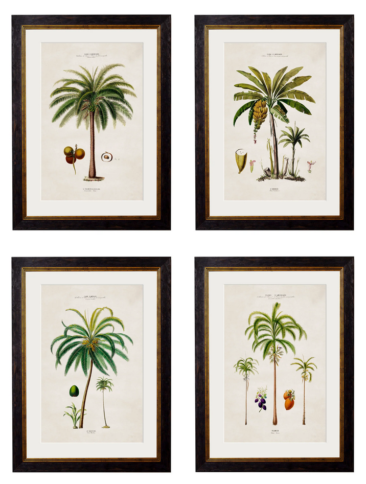 A set of four framed palm tree prints with a black frame and gold inner, displayed against a white background.