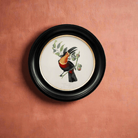 Small round small toucan wall print in a classic black and gilt frame, this print will make an impact on any wall.  The style is reminiscent of ornithological illustrations with its vibrant colours.