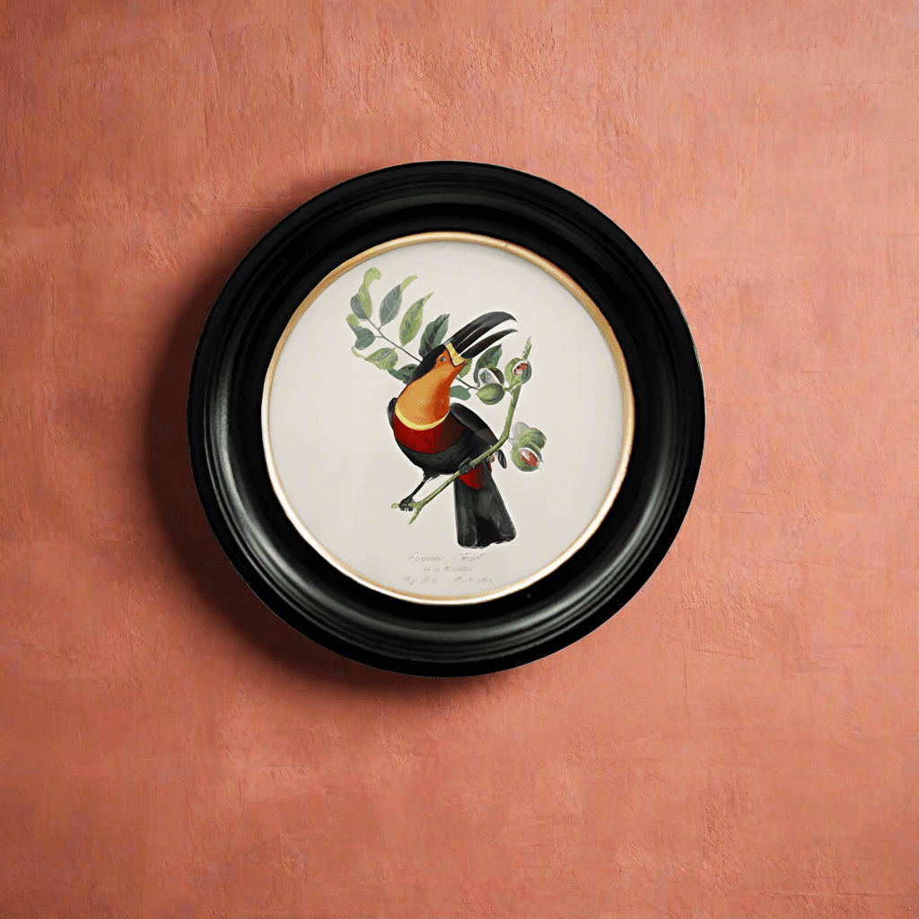 Small round small toucan wall print in a classic black and gilt frame, this print will make an impact on any wall.  The style is reminiscent of ornithological illustrations with its vibrant colours.