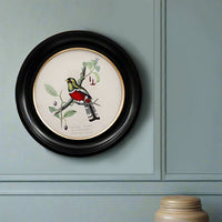 Round small trogon wall print in a classic black and gilt frame, this print will make an impact on any wall. The style is reminiscent of ornithological illustrations with its vibrant colours.