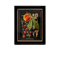 Shop small peach fruit & Blossom print, 20x25cm. Perfect wall decor addition with classic frame. Elevate interiors with this stylish art piece.