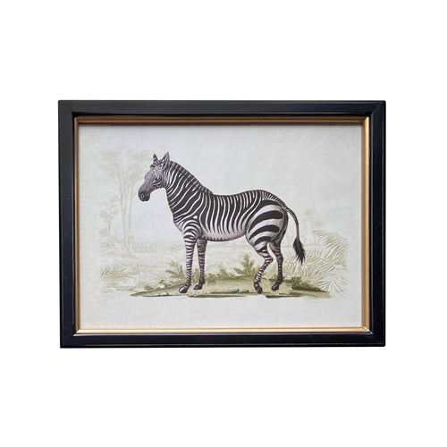 Vintage Zebra Print 29 x 38 cm