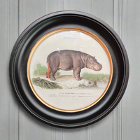 Hippo print in a classic black and gilt frame, a medium size of this print will make an impact on any wall. Combine it with other prints to elevate your wall decor.