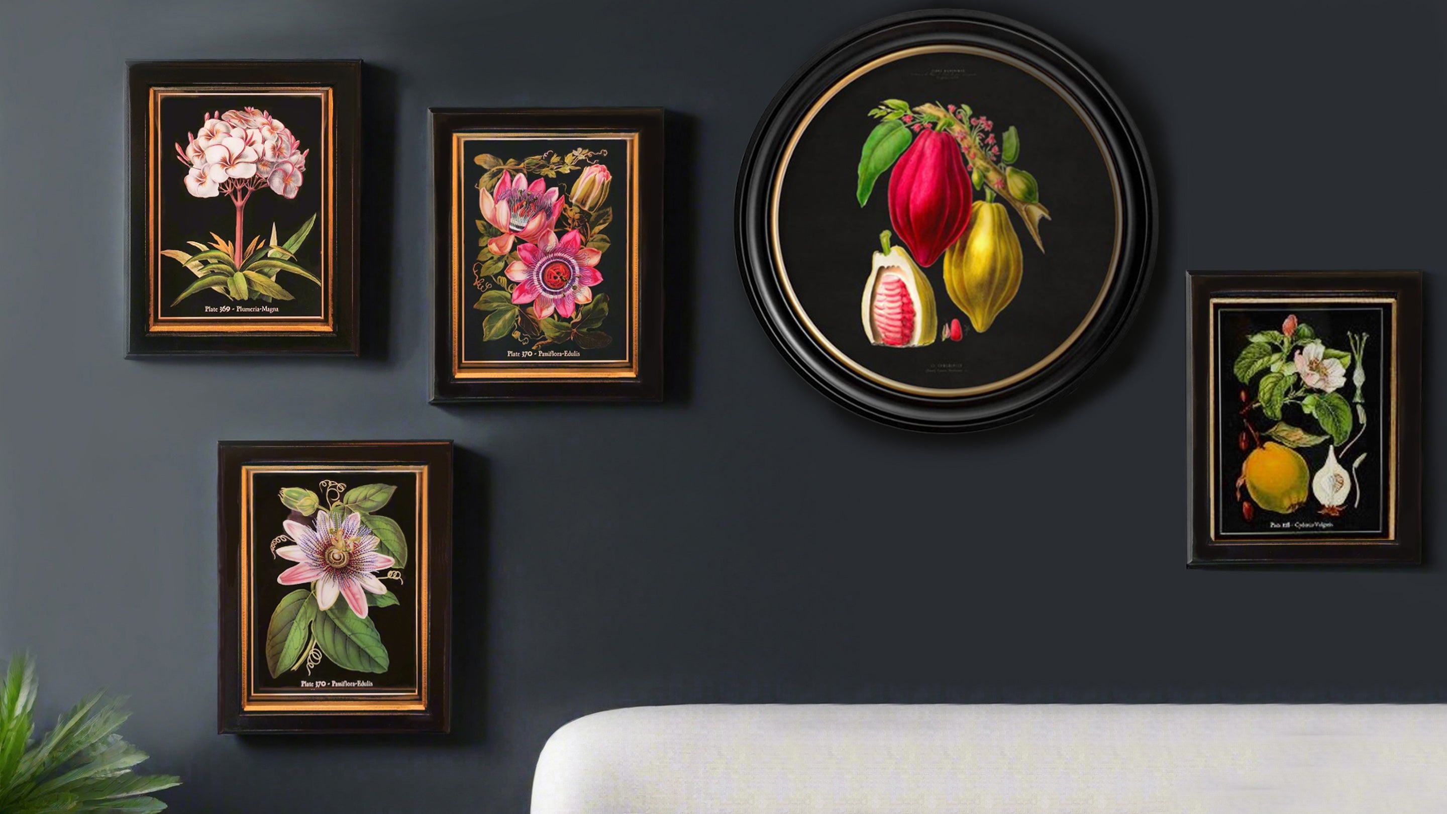 Decorative wall art with floral and fruit illustrations on a dark wall.