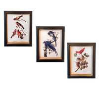 Elevate your decor with a Set of Three Wall Prints featuring birds on branches in black & gilt frames. Perfect for a retro/vintage touch. Combine them together.