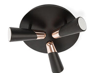 Black and Copper 3 Light Spotlight - CLEARANCE