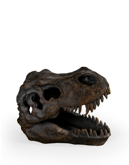 Bronzed Animal Skull 70 cm
