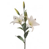 Tiger Lily - White