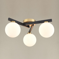 Asymmetric Globe Flush Light  47 cm