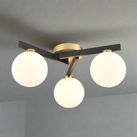 Asymmetric Globe Flush Light  47 cm