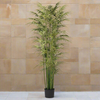 Tall Faux Bamboo Plant H: 217 cm